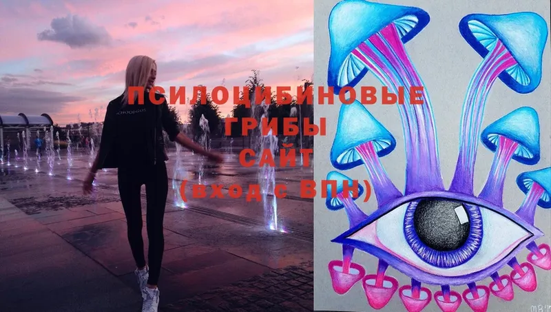 Галлюциногенные грибы MAGIC MUSHROOMS  Знаменск 